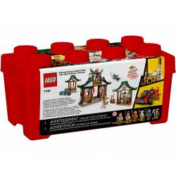 Lego Ninjago Kreatywne Pudełko z Klockami 71787